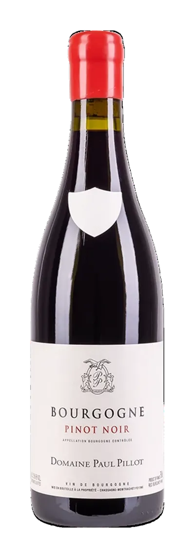 Paul Pilot Bourgogne Rouge 2023