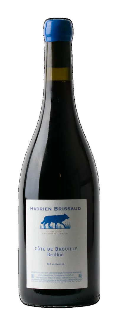 Hadrien Brissaud Côte de Brouilly 2023