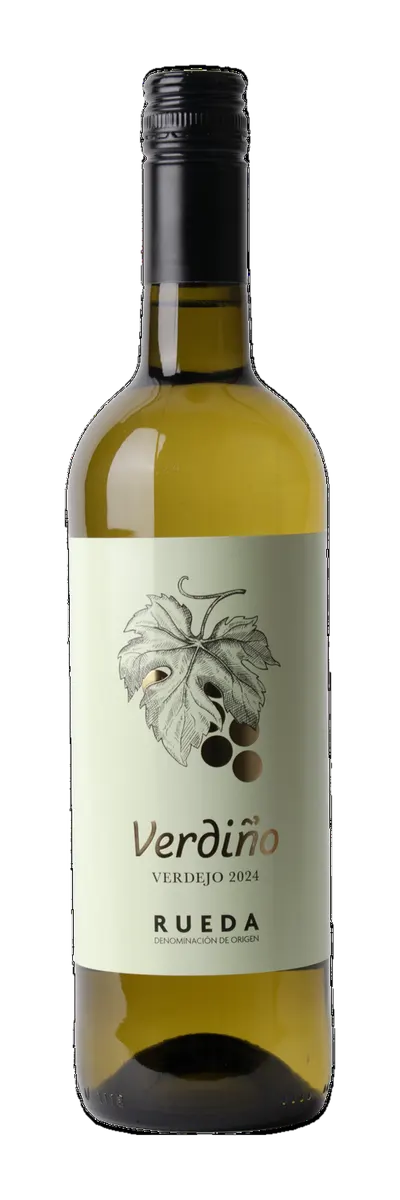 Javier Sanz Verdino Verdejo